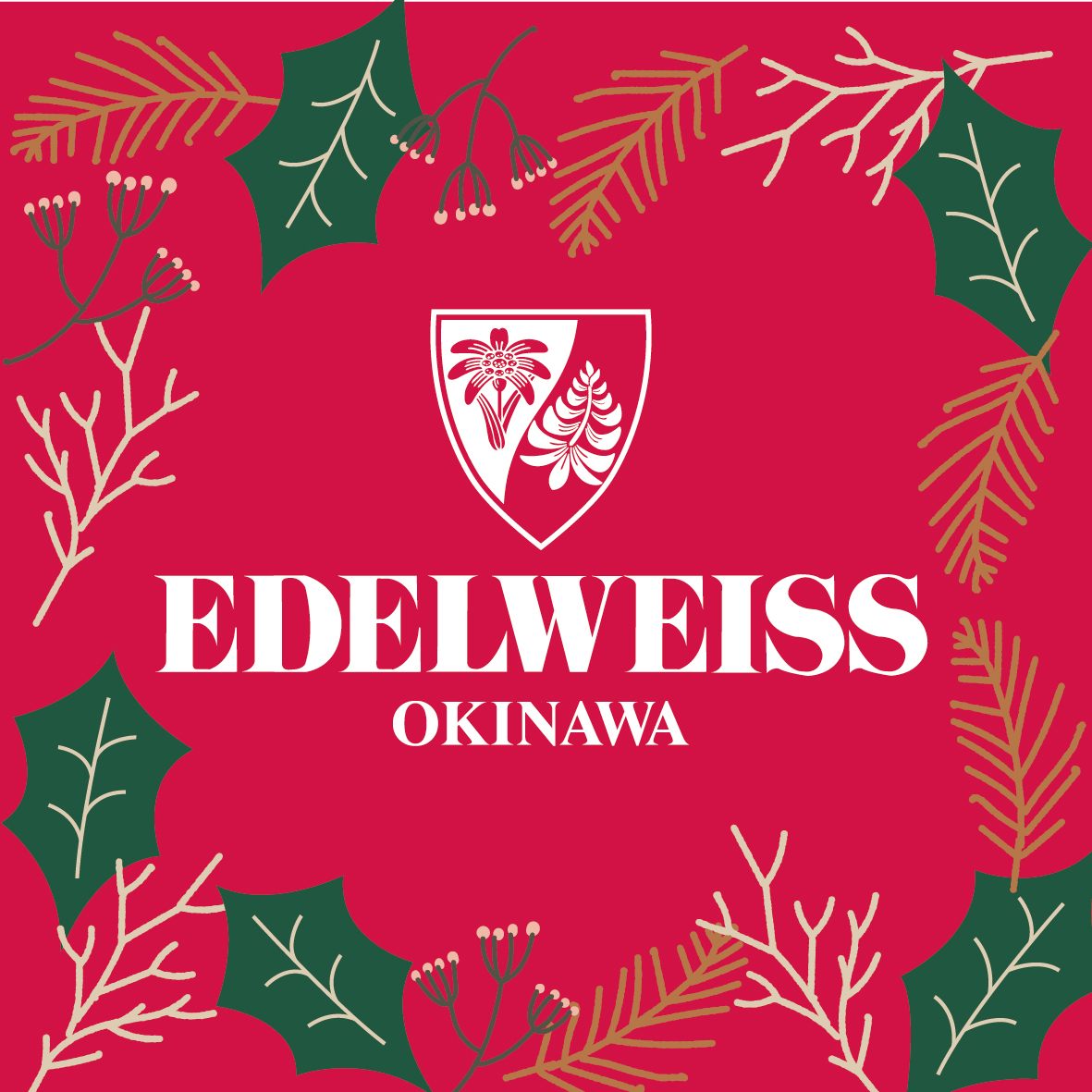 エーデルワイス沖縄